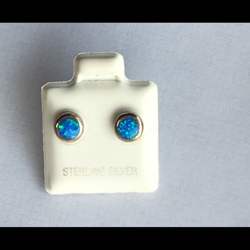 Sterling silver blue iridescent earrings. NWOT